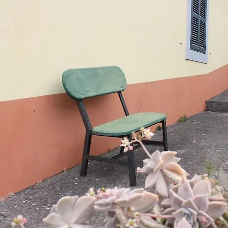 Κατάλυμα σε φάρμα Quinta Sao Lourenco Calheta (Madeira)