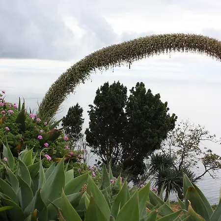 Quinta Sao Lourenco * Calheta (Madeira)