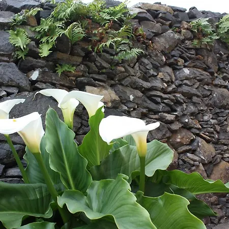 Quinta Sao Lourenco Κατάλυμα σε φάρμα *