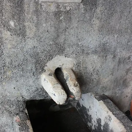 Quinta Sao Lourenco *