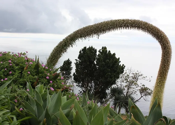 Quinta Sao Lourenco * Calheta (Madeira)