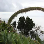 Quinta Sao Lourenco * Calheta (Madeira)