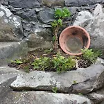Quinta Sao Lourenco * Calheta (Madeira)