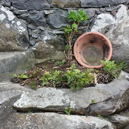 Quinta Sao Lourenco * Calheta (Madeira)