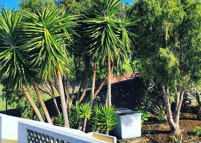 Quinta Sao Lourenco * 칼례타