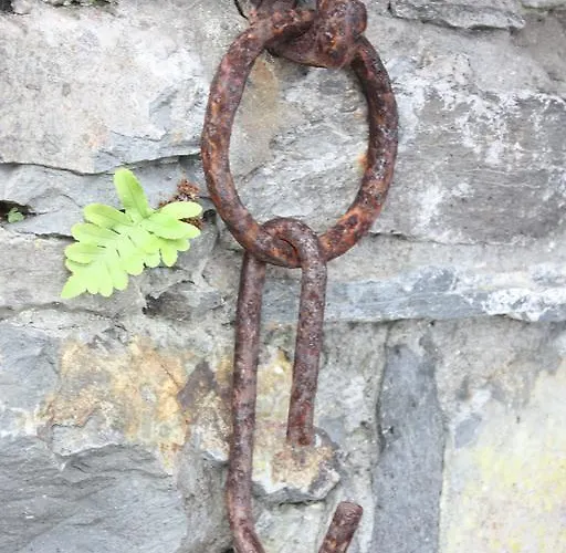 בית חווה Quinta Sao Lourenco *