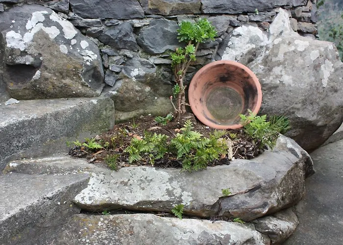 Quinta Sao Lourenco * קלייטה