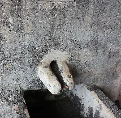 Quinta Sao Lourenco *